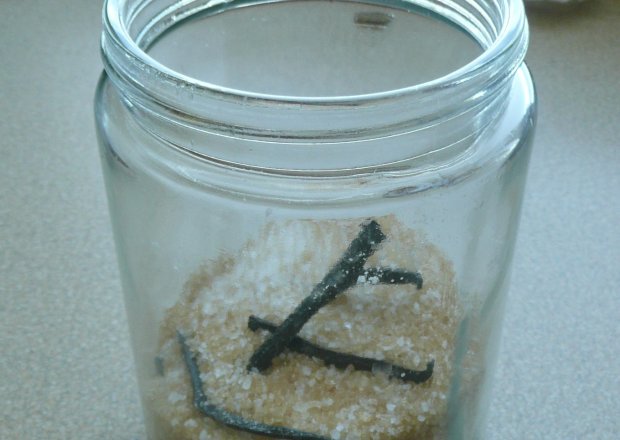 Fotografia przedstawiająca Domowy cukier waniliowy