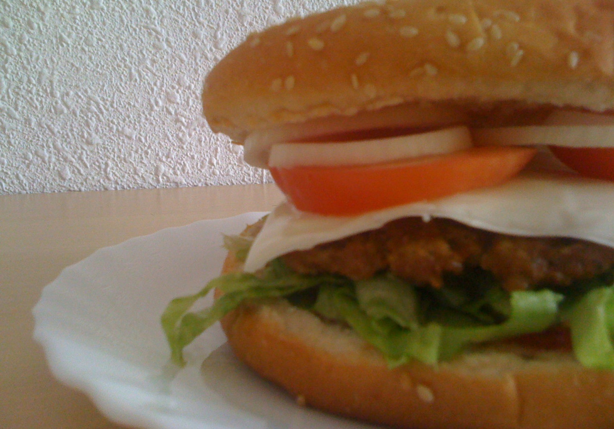 Domowy hamburger (kotlet) foto