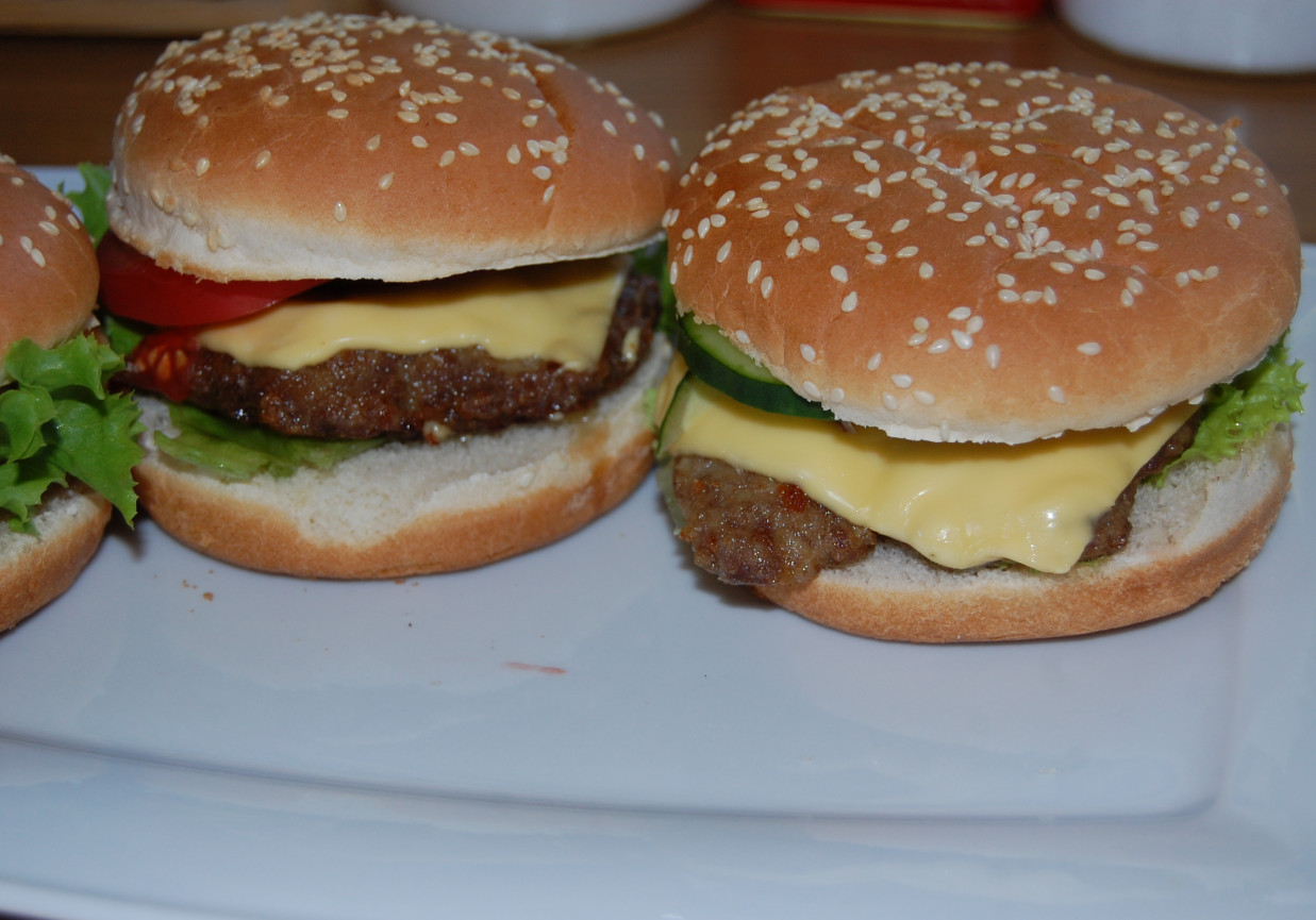 Domowy Hamburger foto