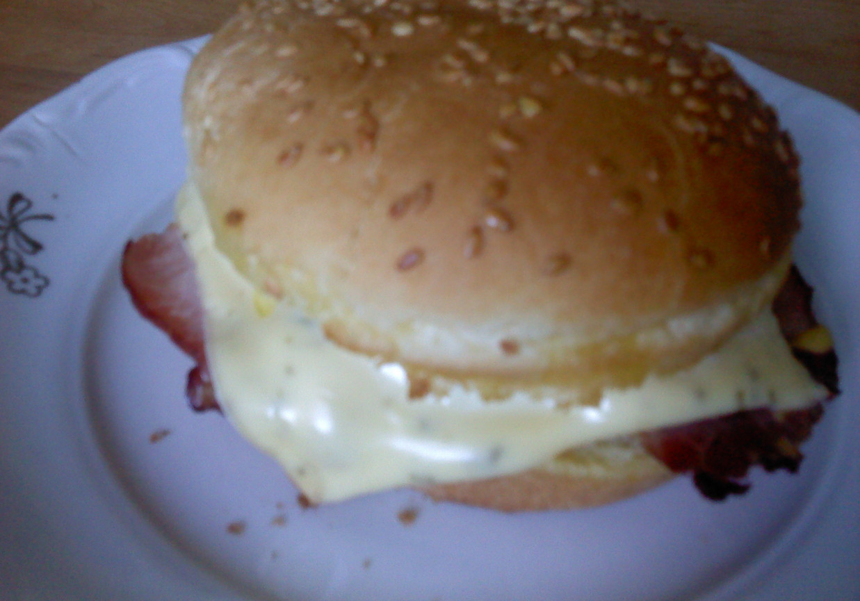 Domowy hamburger foto