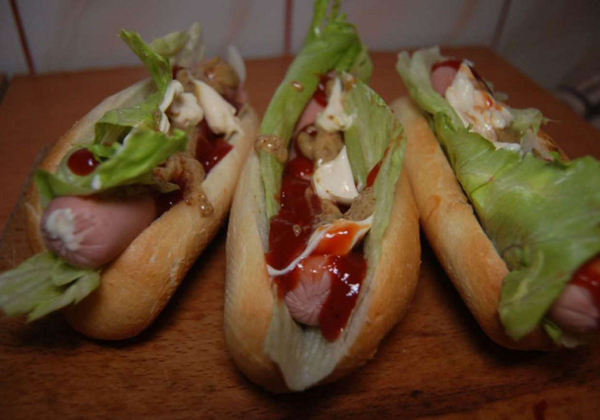 Domowy Hot  Dog foto