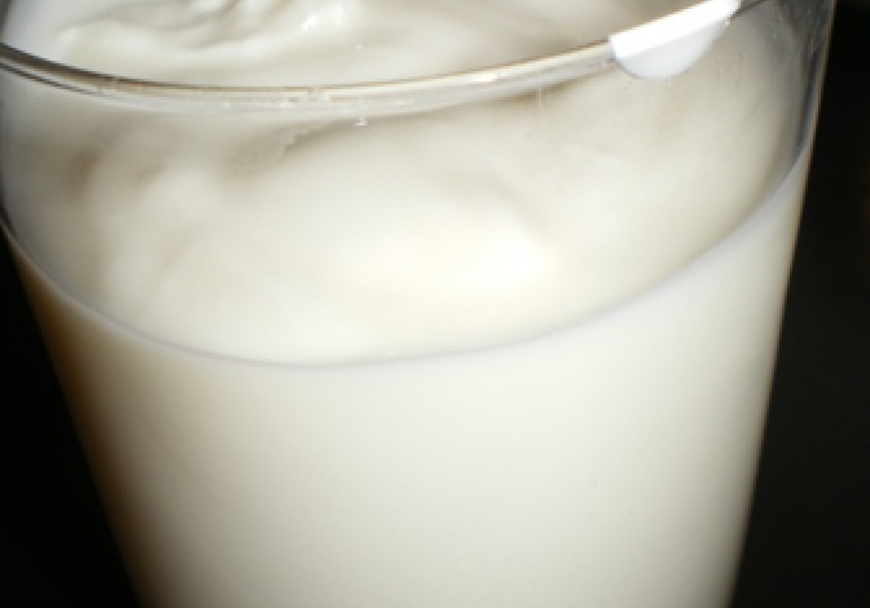 Domowy Jogurt foto
