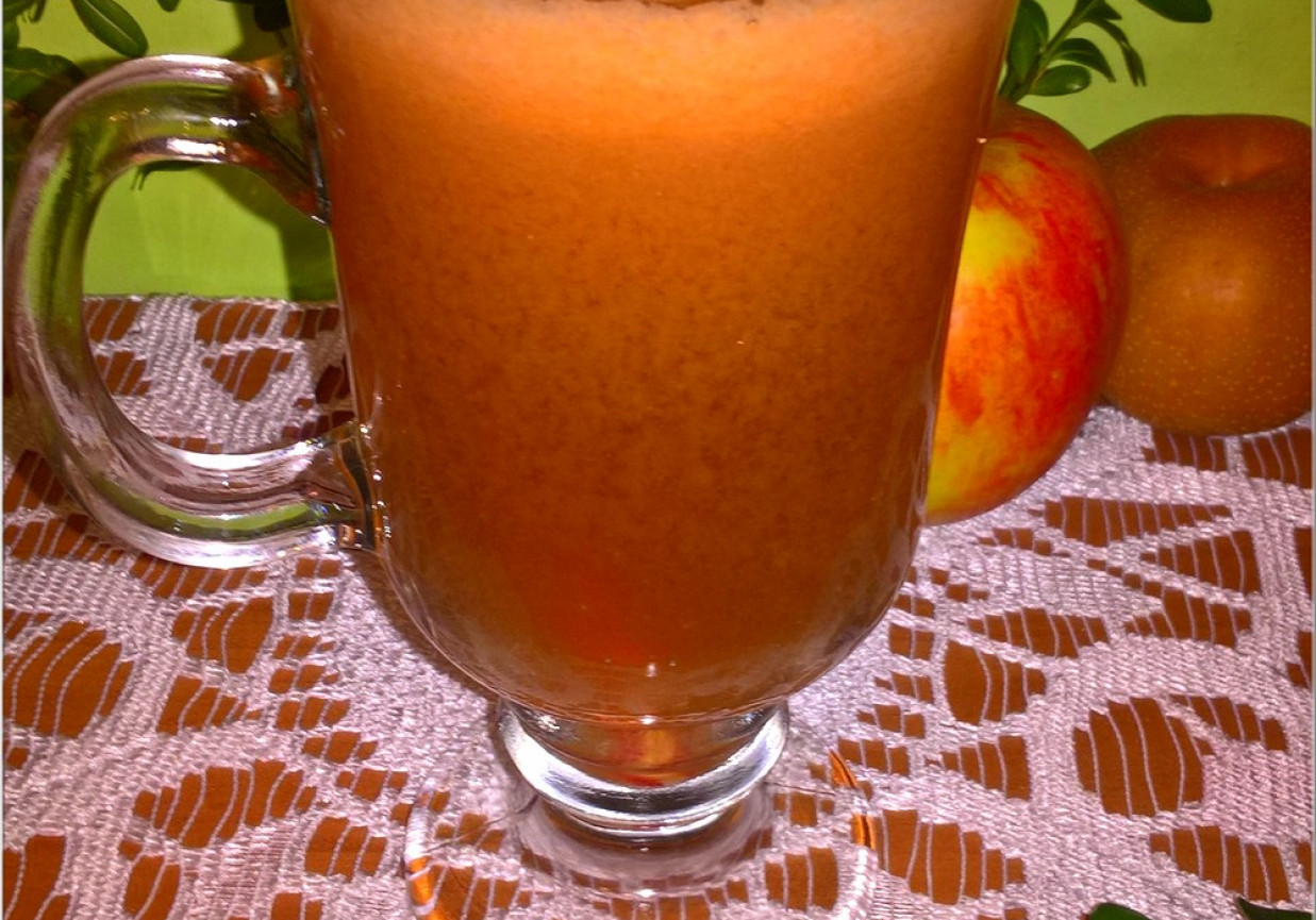 Domowy sok owocowo marchwiowy foto