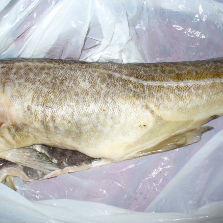 Krok 1 - Dorsz grillowany - dzwonki foto