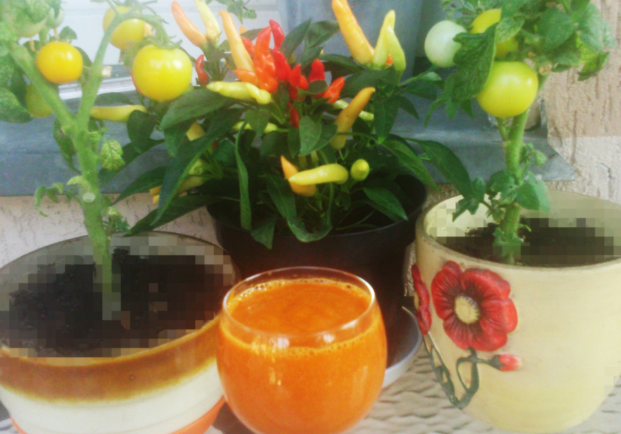Drink Krwawa Mary z mieszanych pomidorów i chili foto
