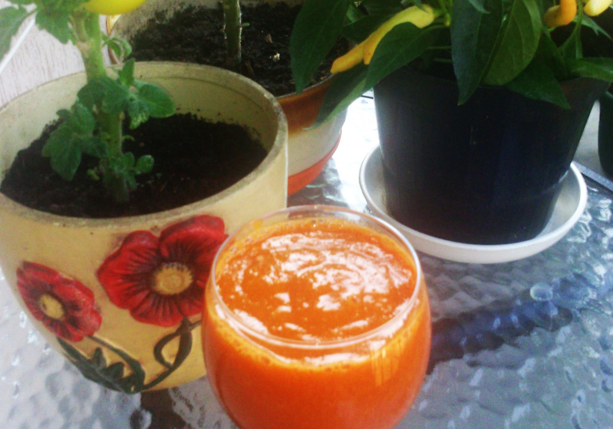 Drink Krwawa Mary z mieszanych pomidorów i chili foto