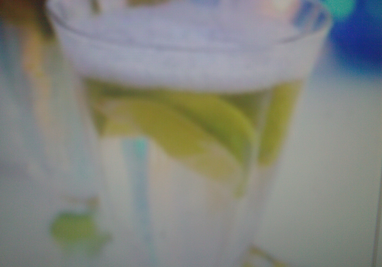 Drink miętowo cytrynowy foto