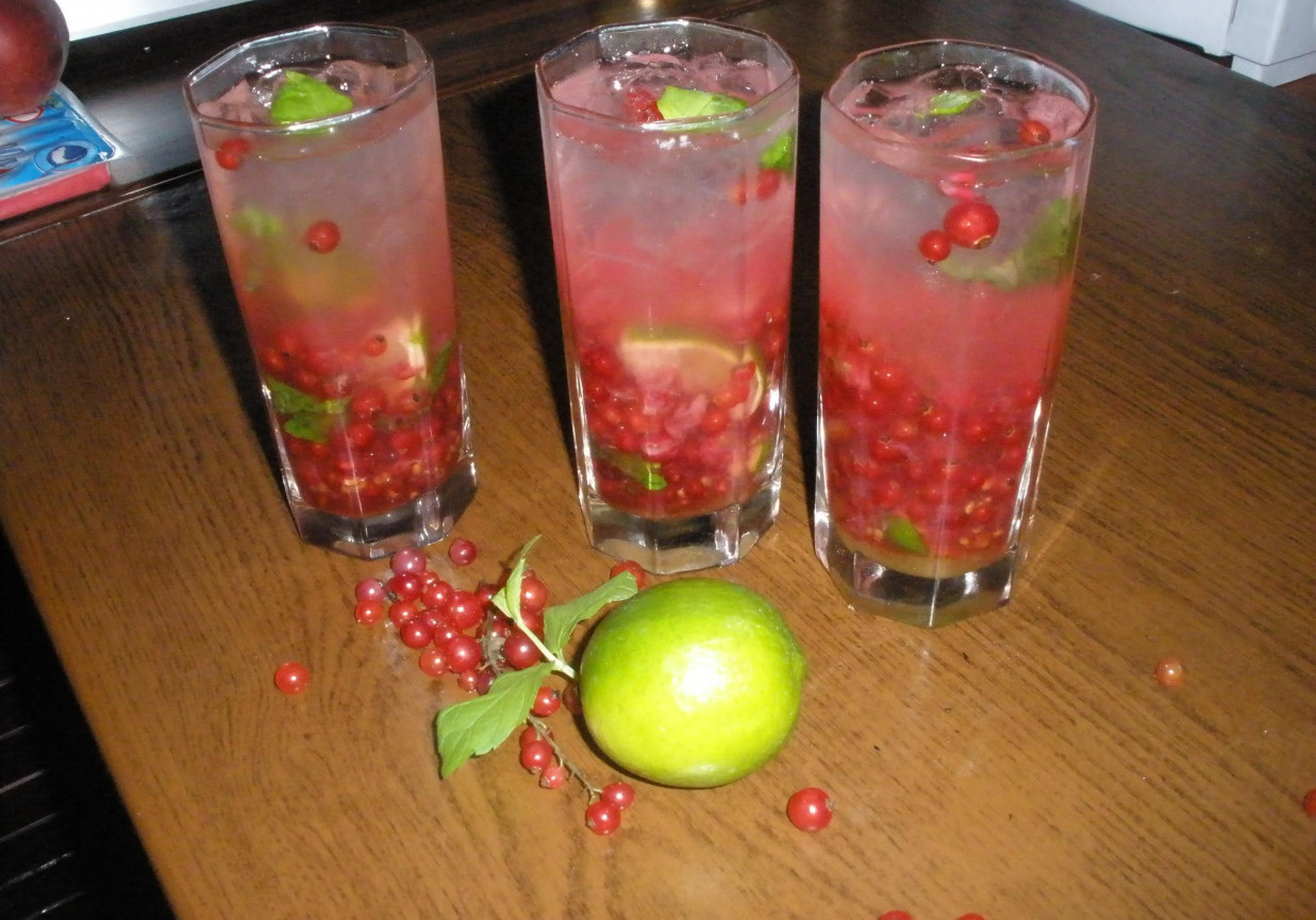 Drink Mohito z czerwoną porzeczką foto