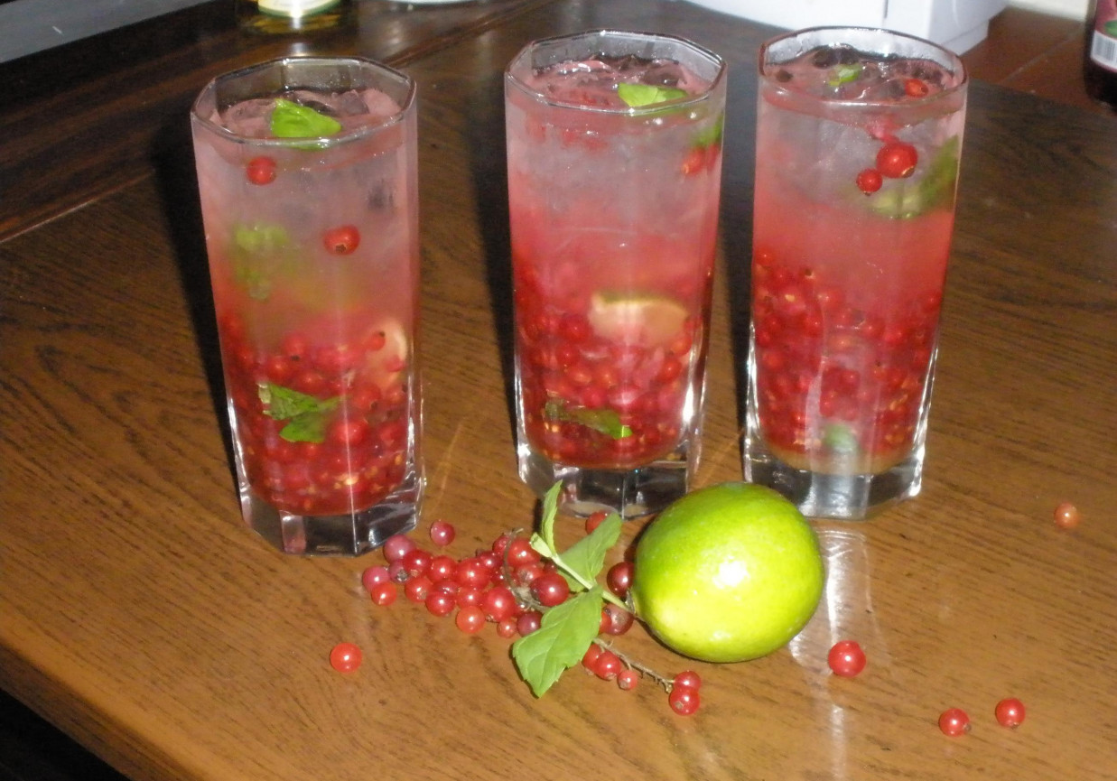 Drink Mohito z czerwoną porzeczką foto