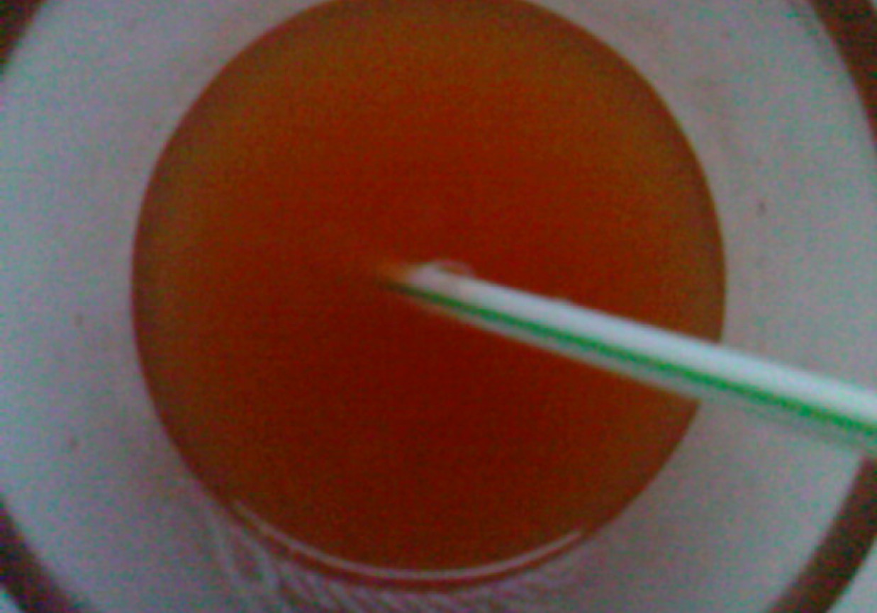 Drink pomarańczowo - brzoskwiniowy foto