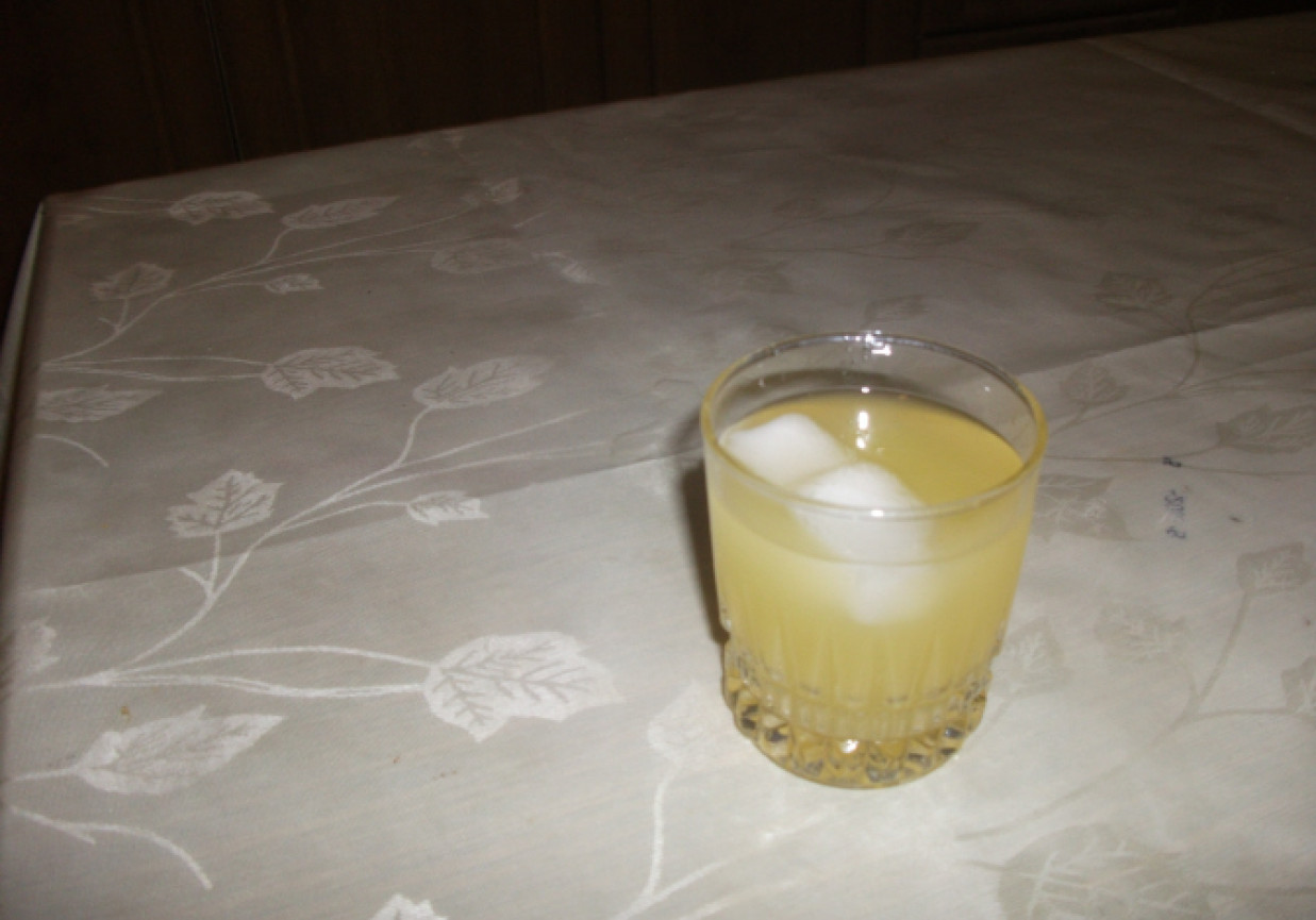 drink sok pomaranczowy z wódka foto