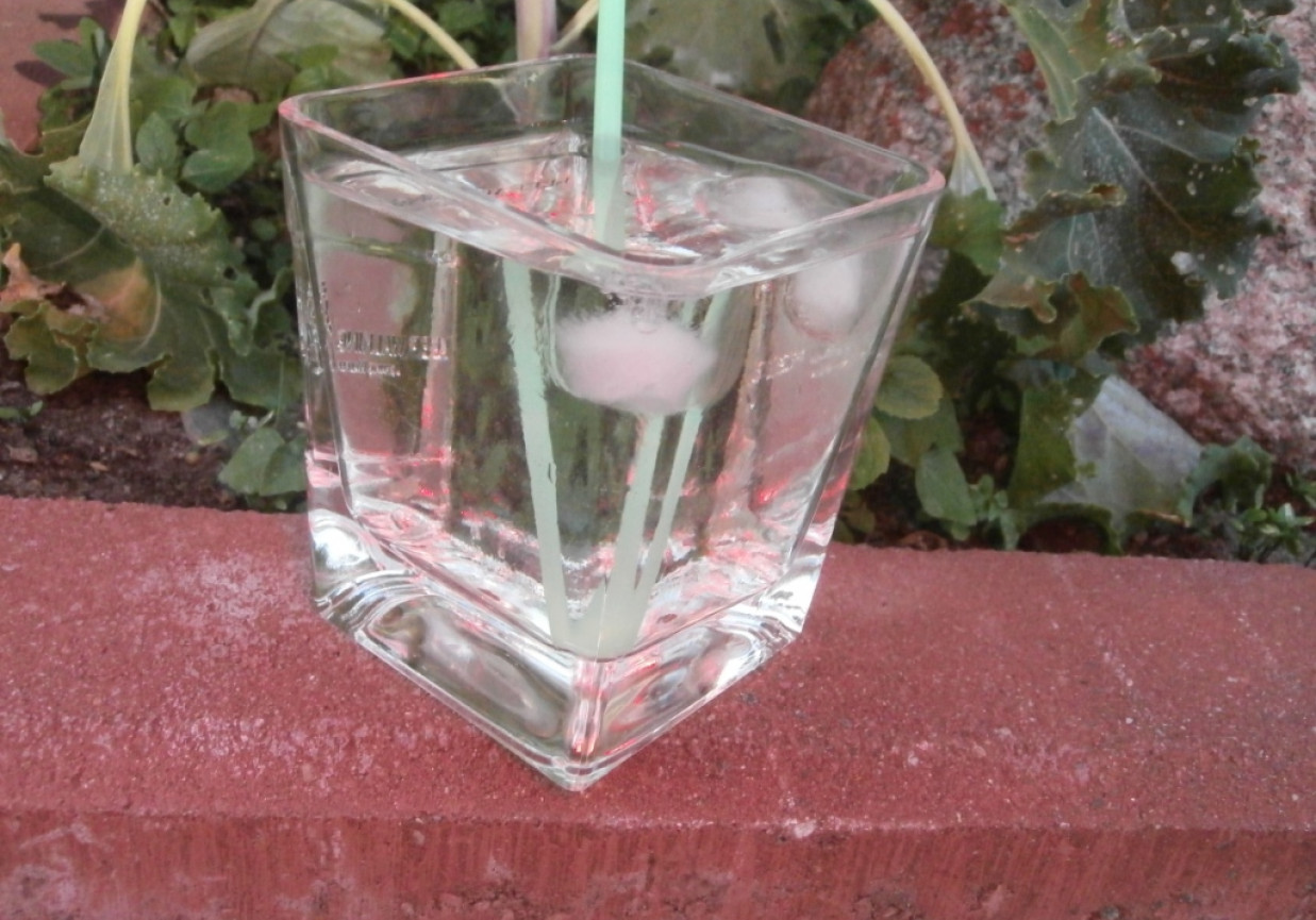 drink wódka z tonikiem i martini DoradcaSmaku.pl