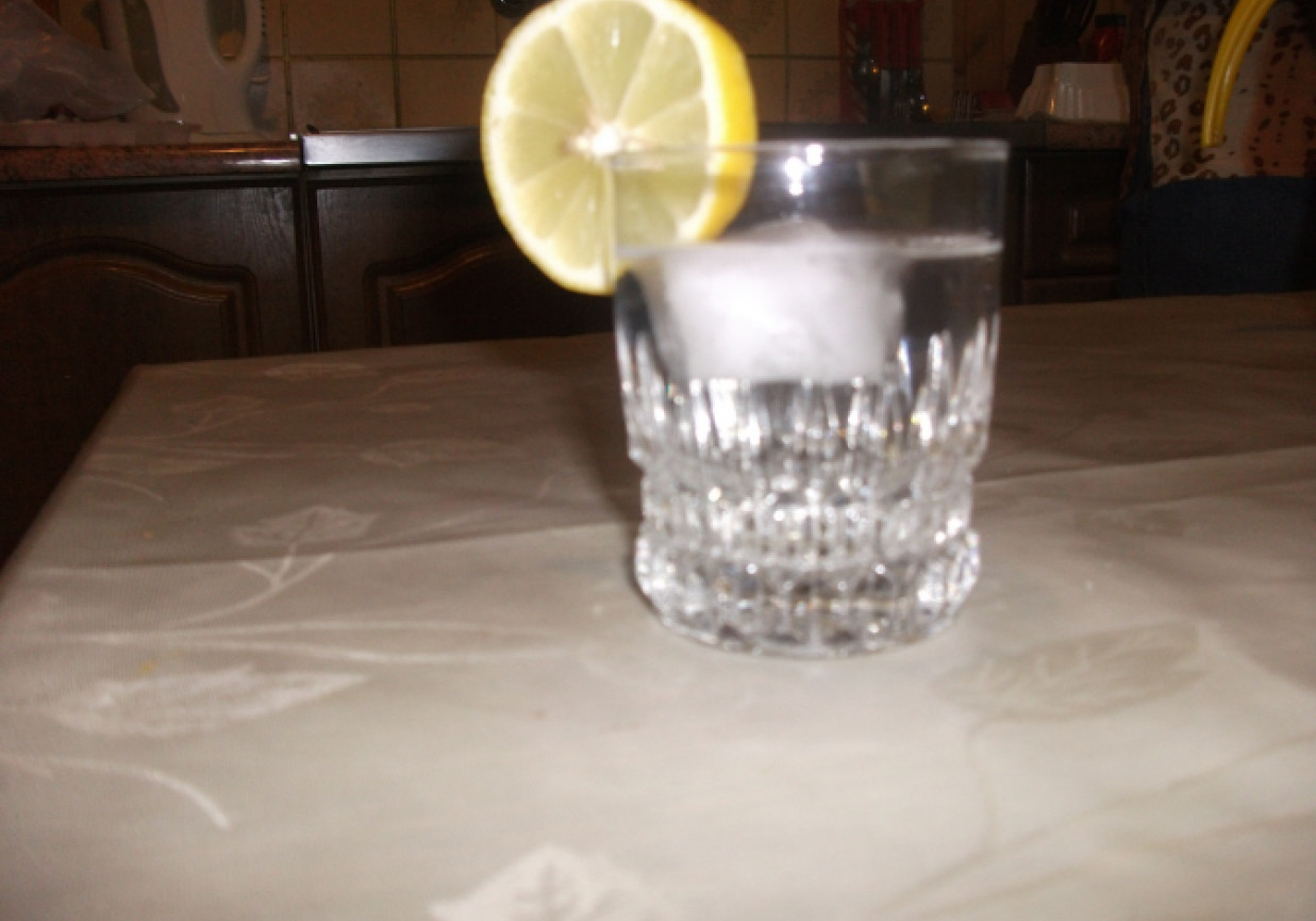 Drink wódka z wodą foto