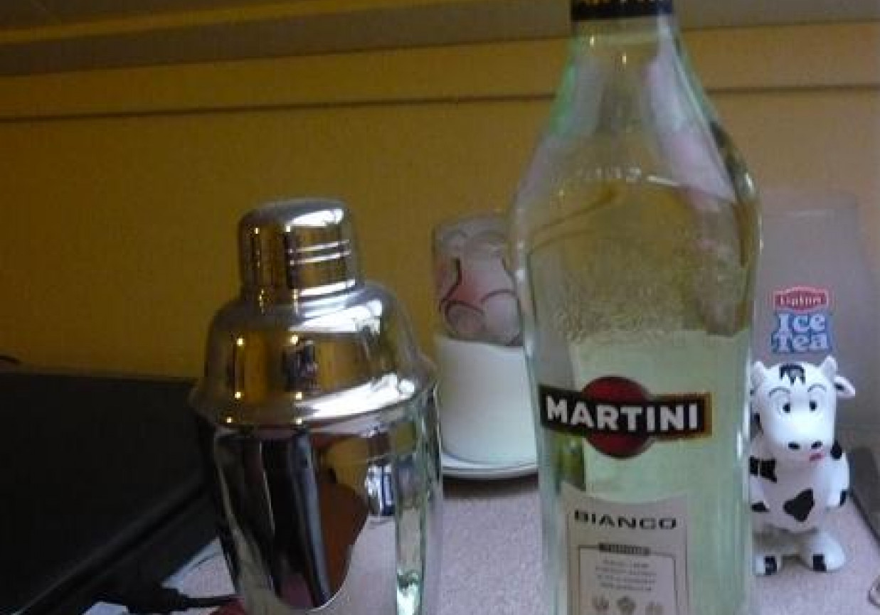 Drink z Martini foto