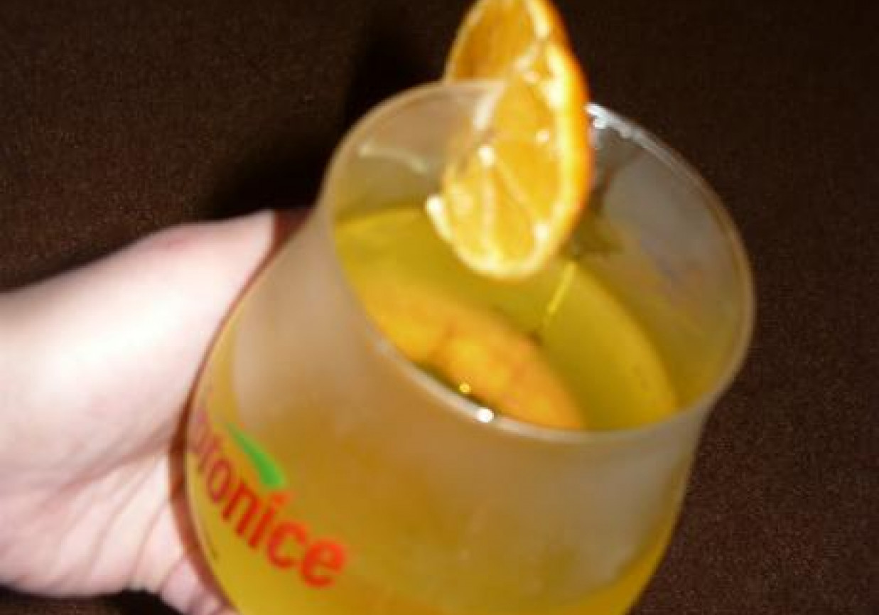 Drink z Martini foto