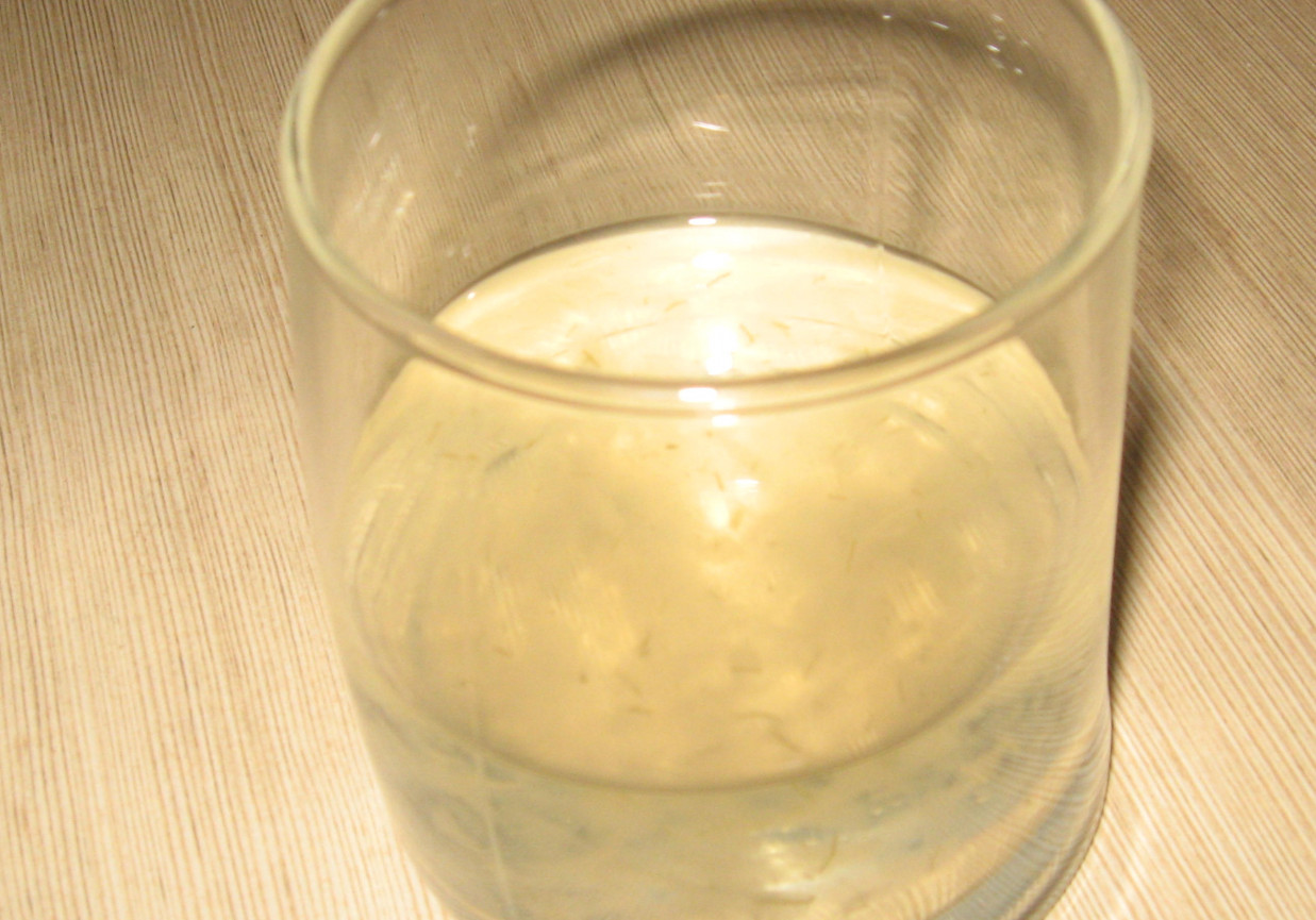 Drink z sokiem aloesowym foto