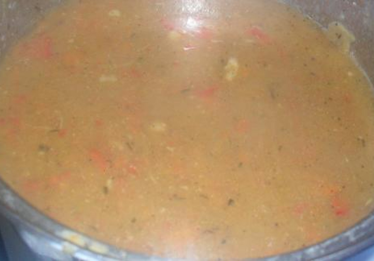 drobiowa zupa gulaszowa foto