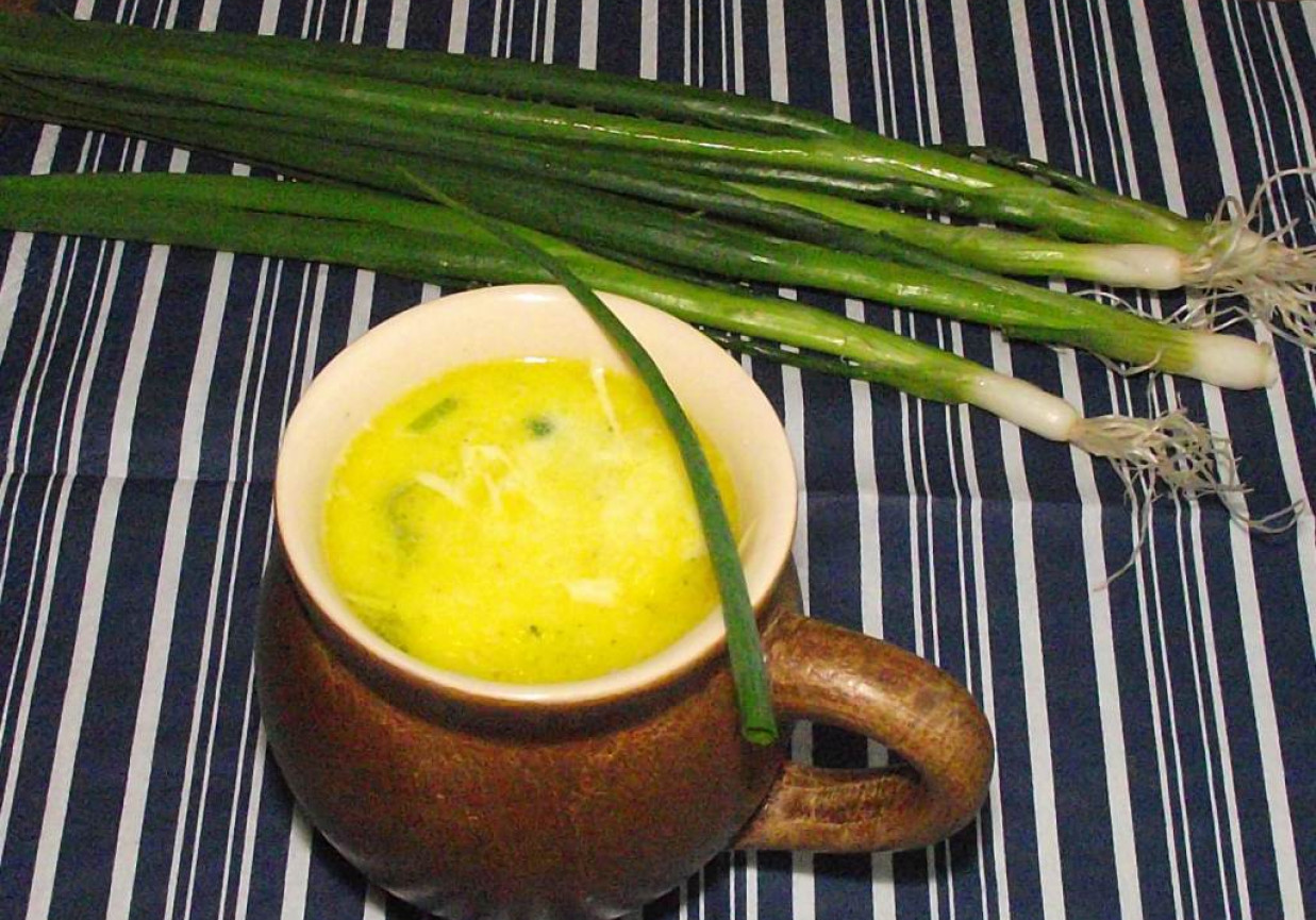 Duńska zupa porowa z zieloną cebulką foto