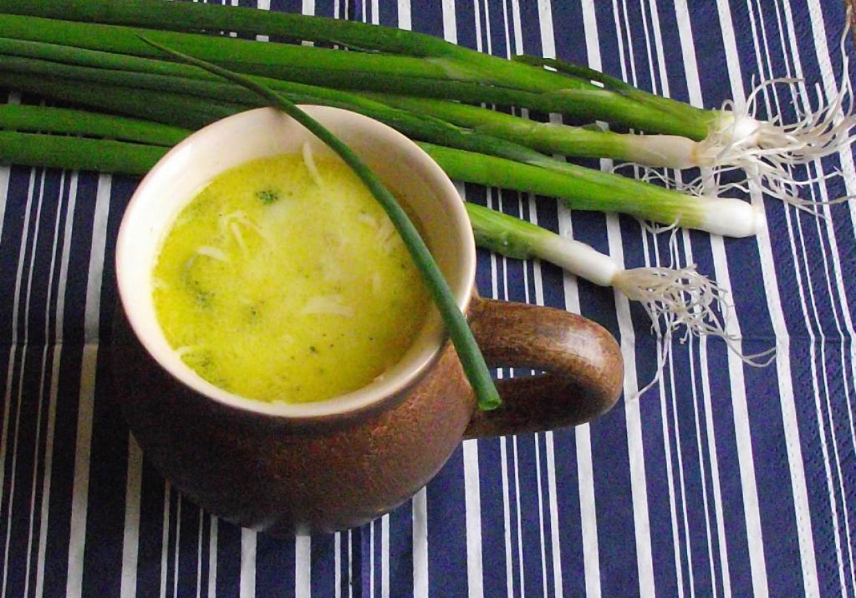 Duńska zupa porowa z zieloną cebulką foto