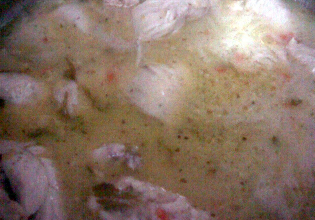 Duszony kurczak w sosie śmietanowym foto