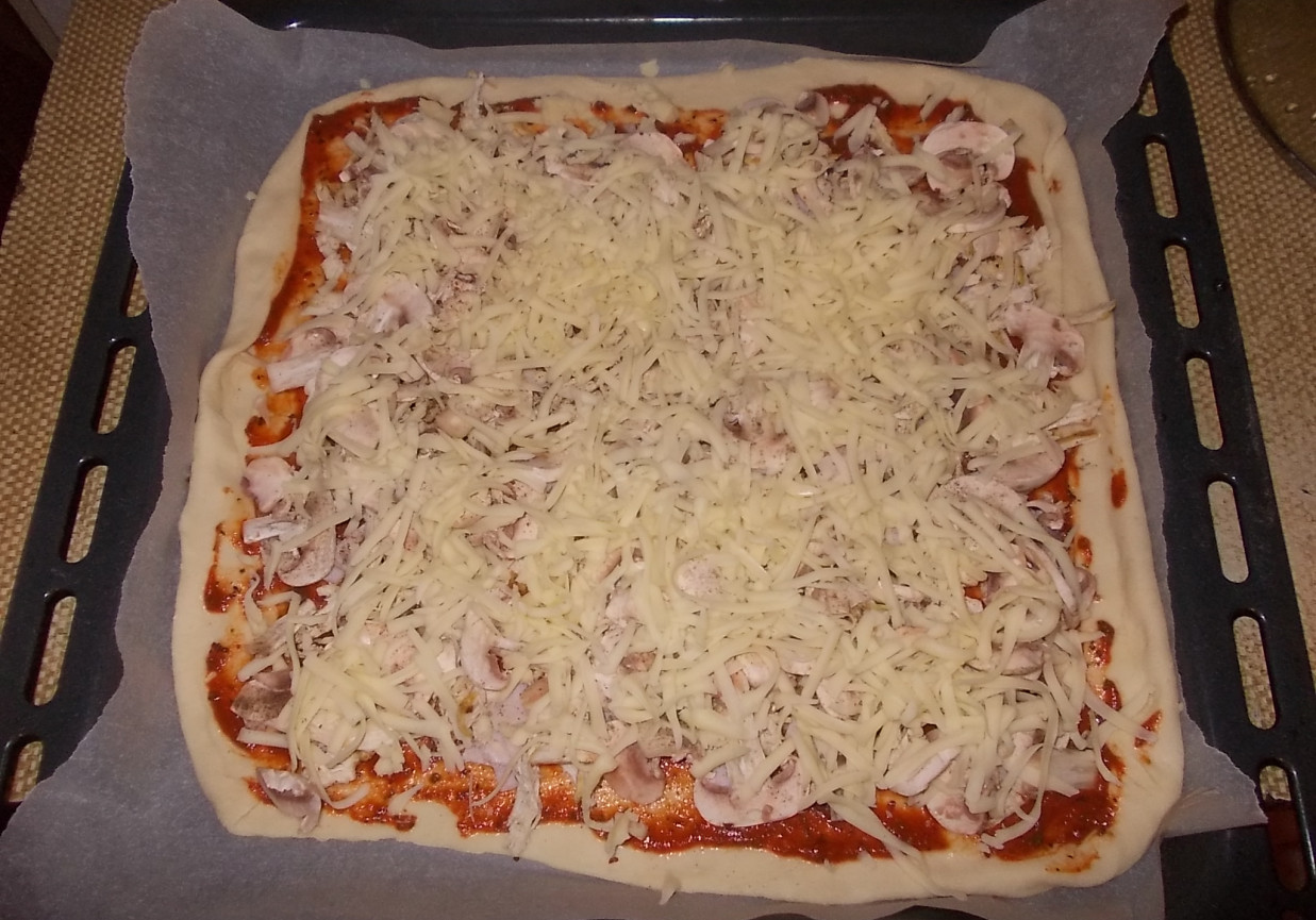 Duża pizza foto