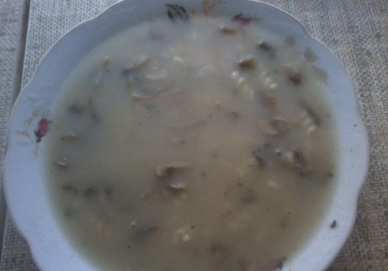ekspresowa zupa pieczarkowa foto
