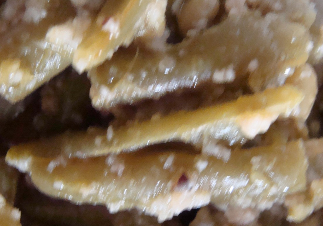 fasolka szparagowa z bulką tart ą do obiadu foto
