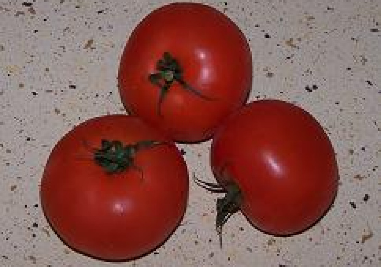 Feta z pomidorem i ogórkiem foto