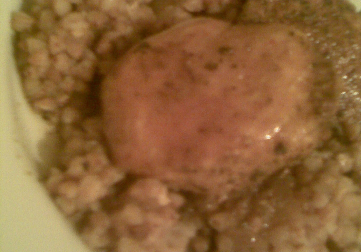 Filet duszony z kaszą foto