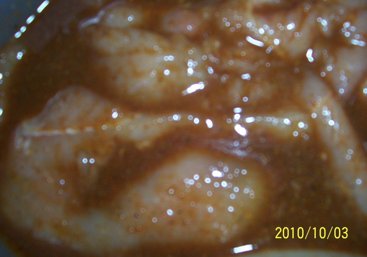filet z indyka w marynacie foto