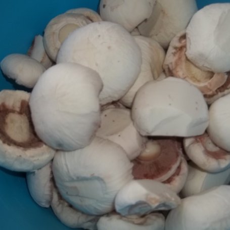 Krok 1 - Filety u udźca kurczaka w sosie pieczarkowym foto