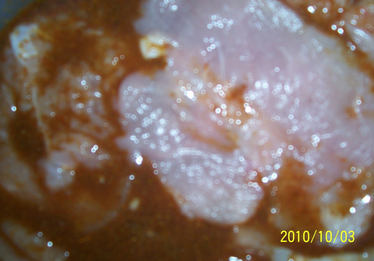 filety z kurczaka w marynacie foto