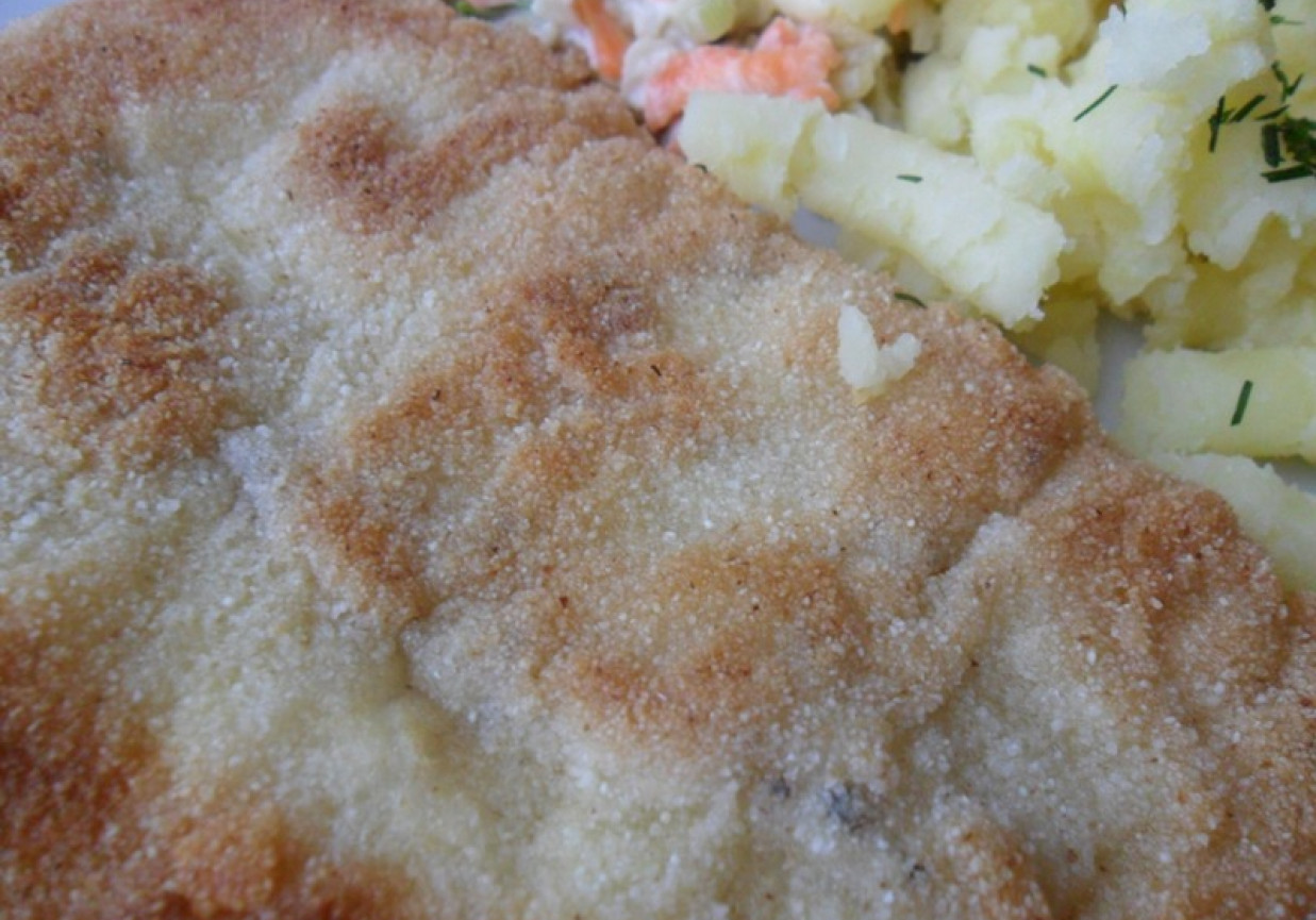 Filety z pangi panierowane w kaszy mannie DoradcaSmaku.pl