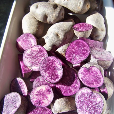 Krok 1 - Fioletowe ziemniaki w sałatce. foto