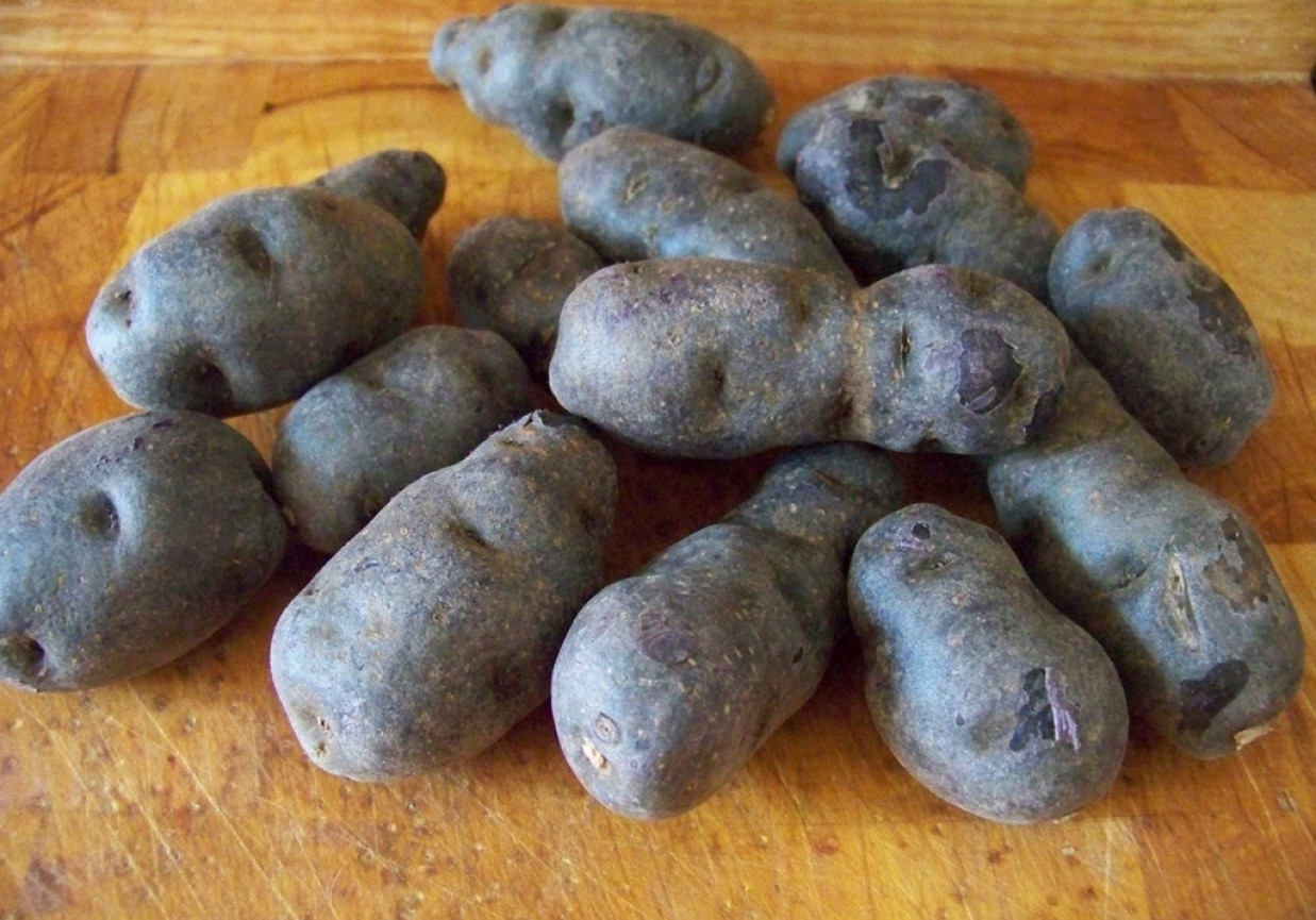 Fioletowe ziemniaki w sałatce. foto