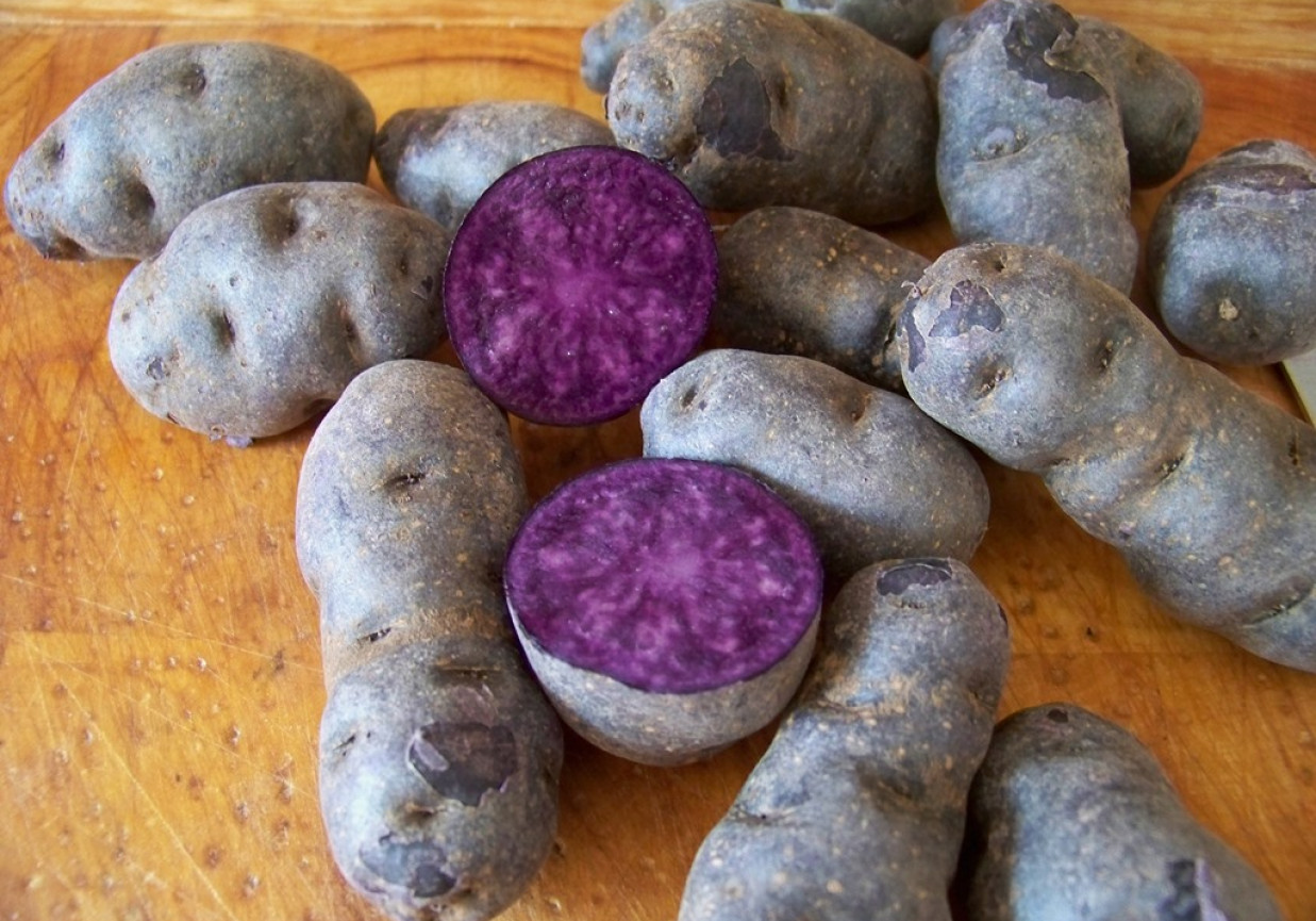 Fioletowe ziemniaki w sałatce. foto