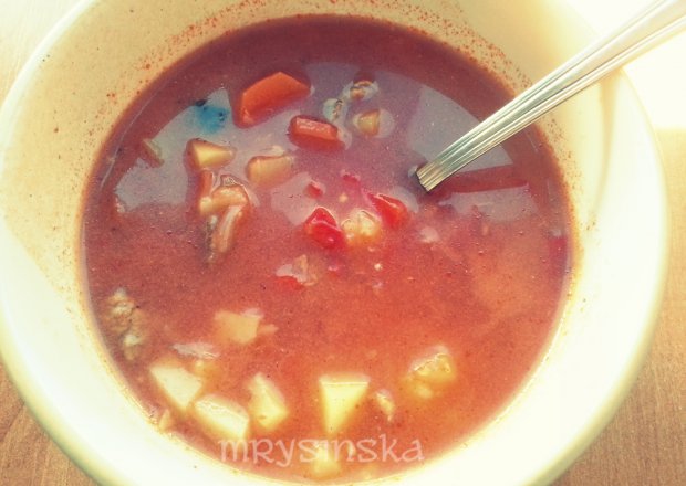 Fotografia przedstawiająca Fit zupa gulaszowa