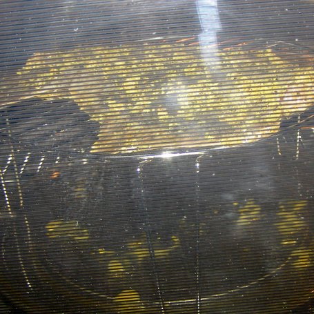 Krok 2 - flądra z grilla piekarnika w marynacie cytrynowej... foto