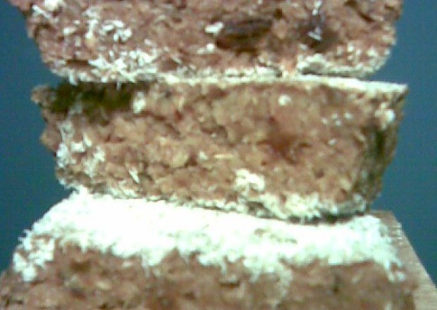 Fotografia przedstawiająca Flapjack kokosowo-daktylowy