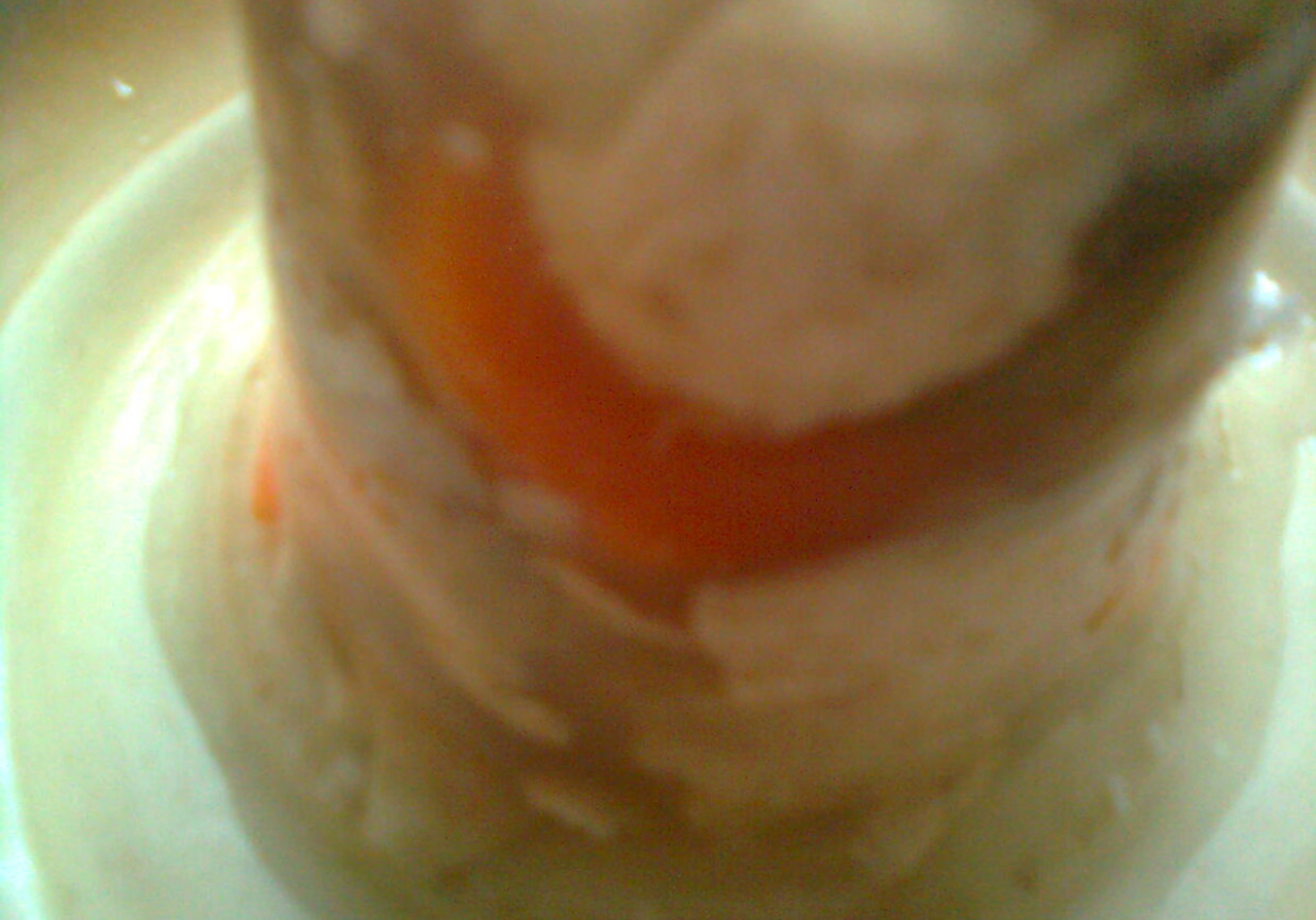 Galareta drobiowa z marchewką i pietruszką foto