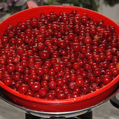 Krok 1 - Galaretka z czerwonych porzeczek foto