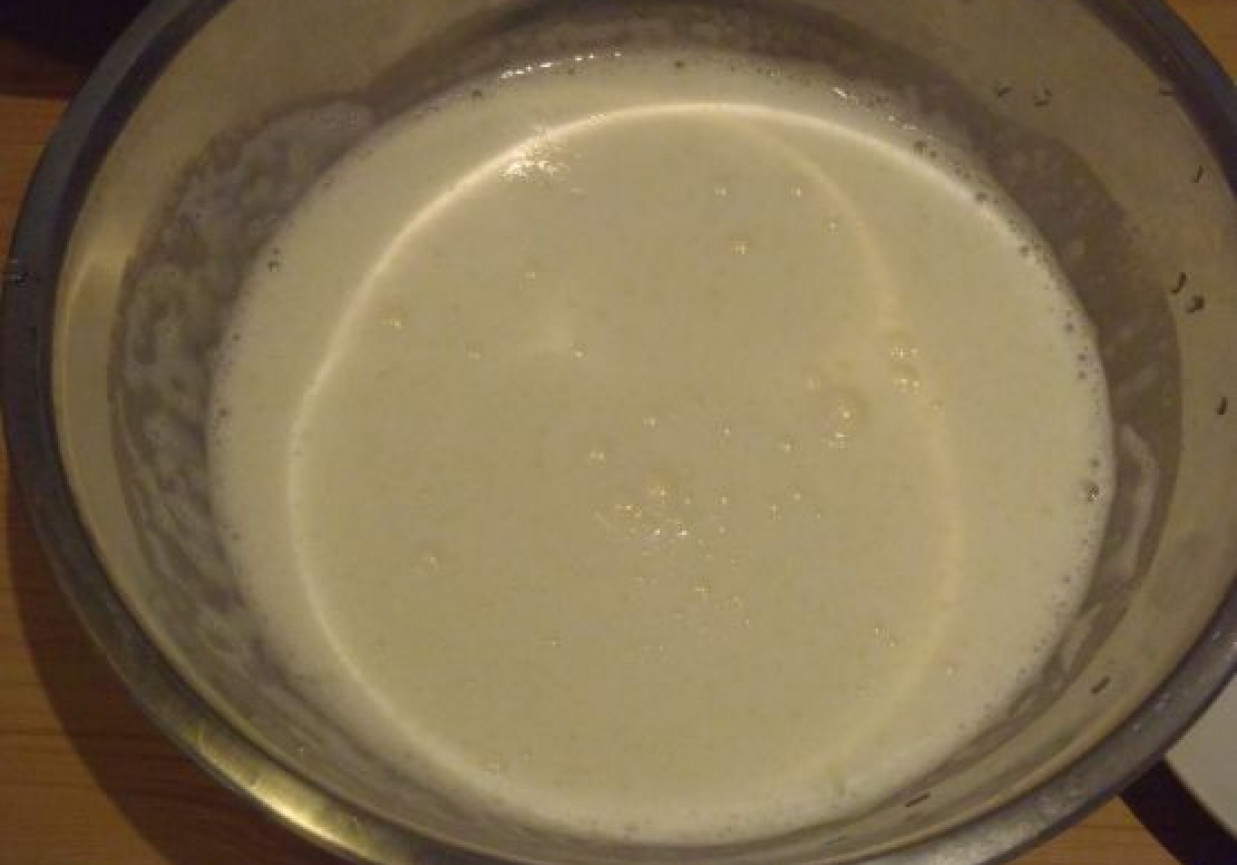 Galaretkowiec jogurtowy foto