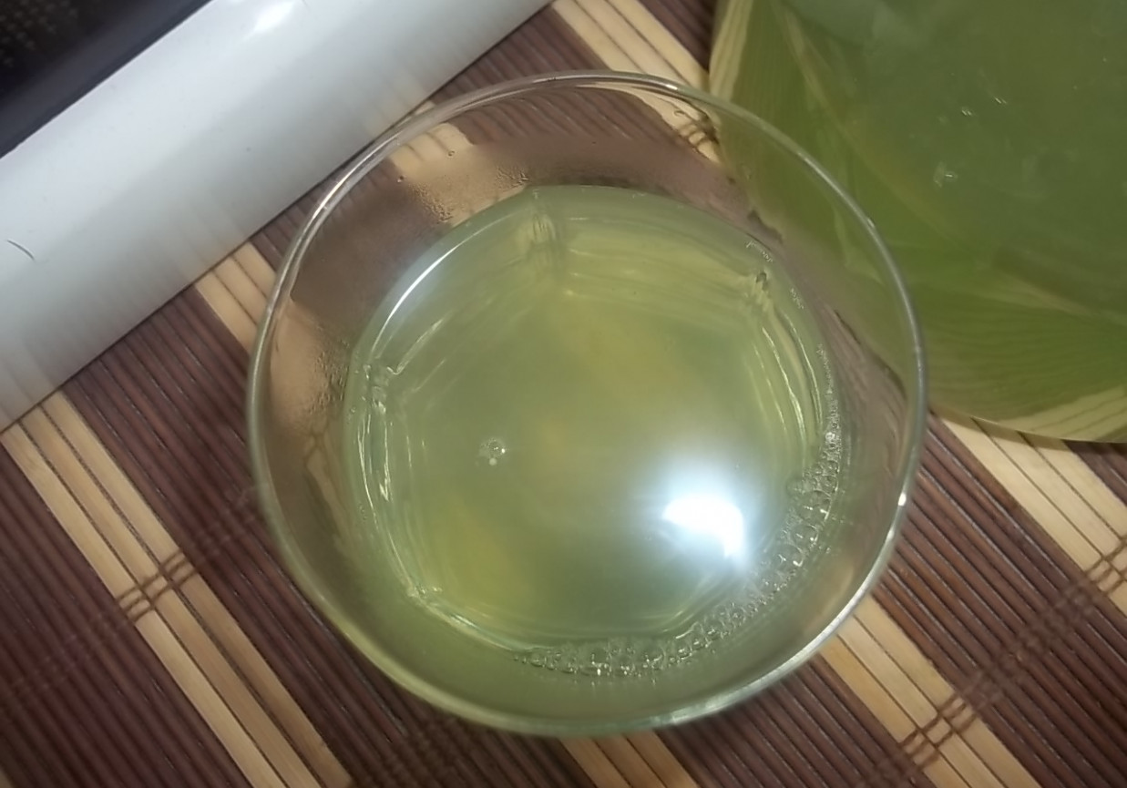 Galaretkowy napój agrestowo-cytrynowy foto