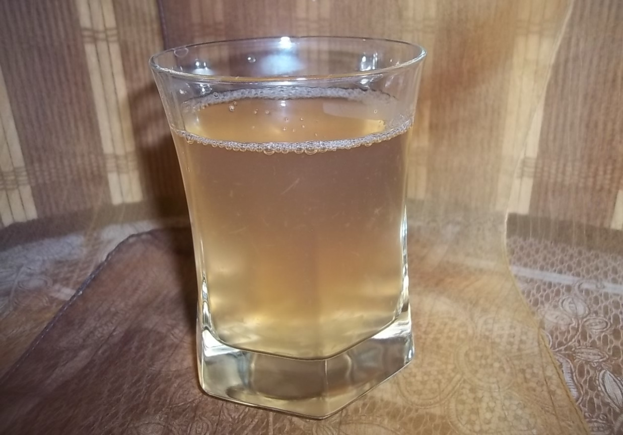 Galaretkowy napój rabarbarowo-jabłkowy foto