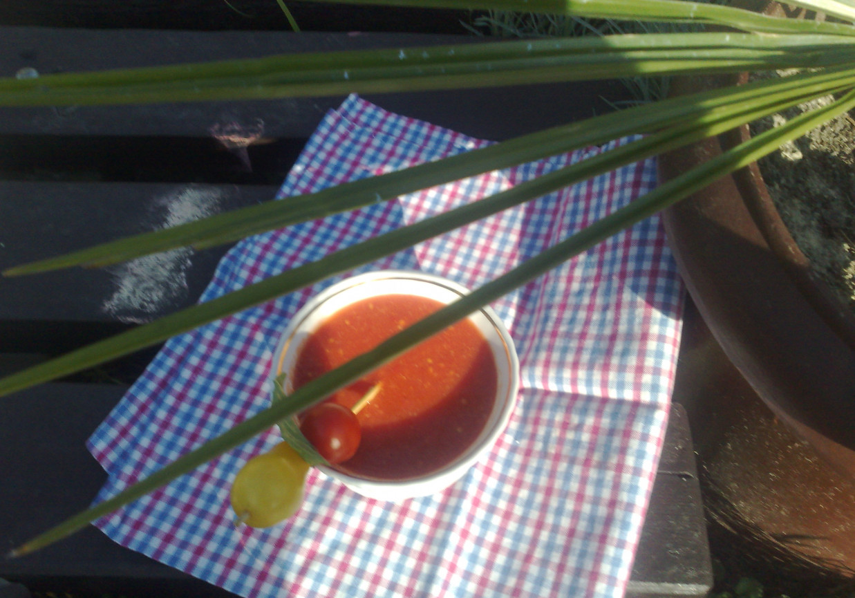 gazpacho foto