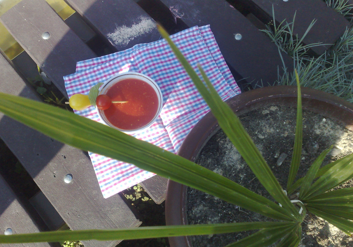 gazpacho foto