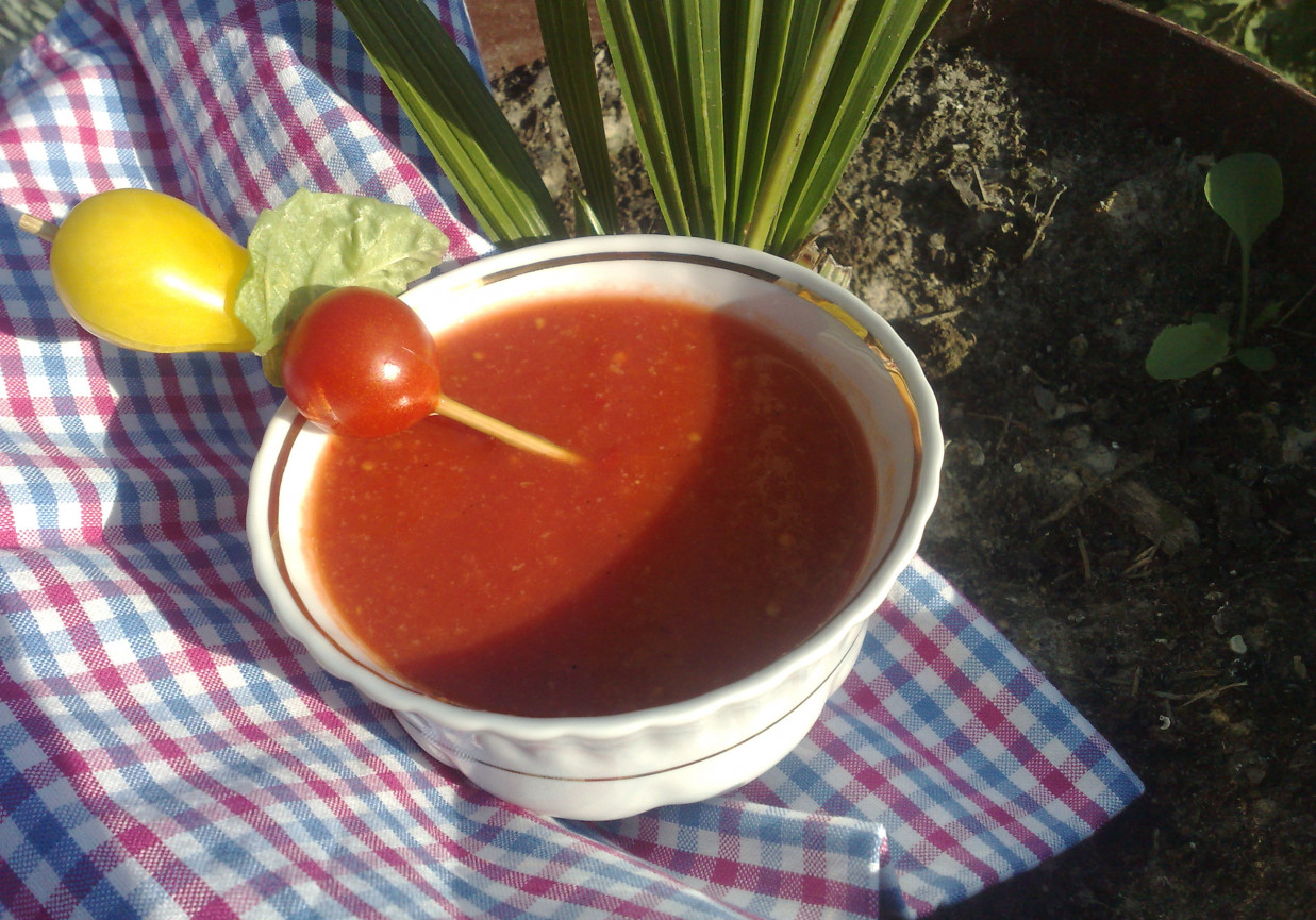 gazpacho foto