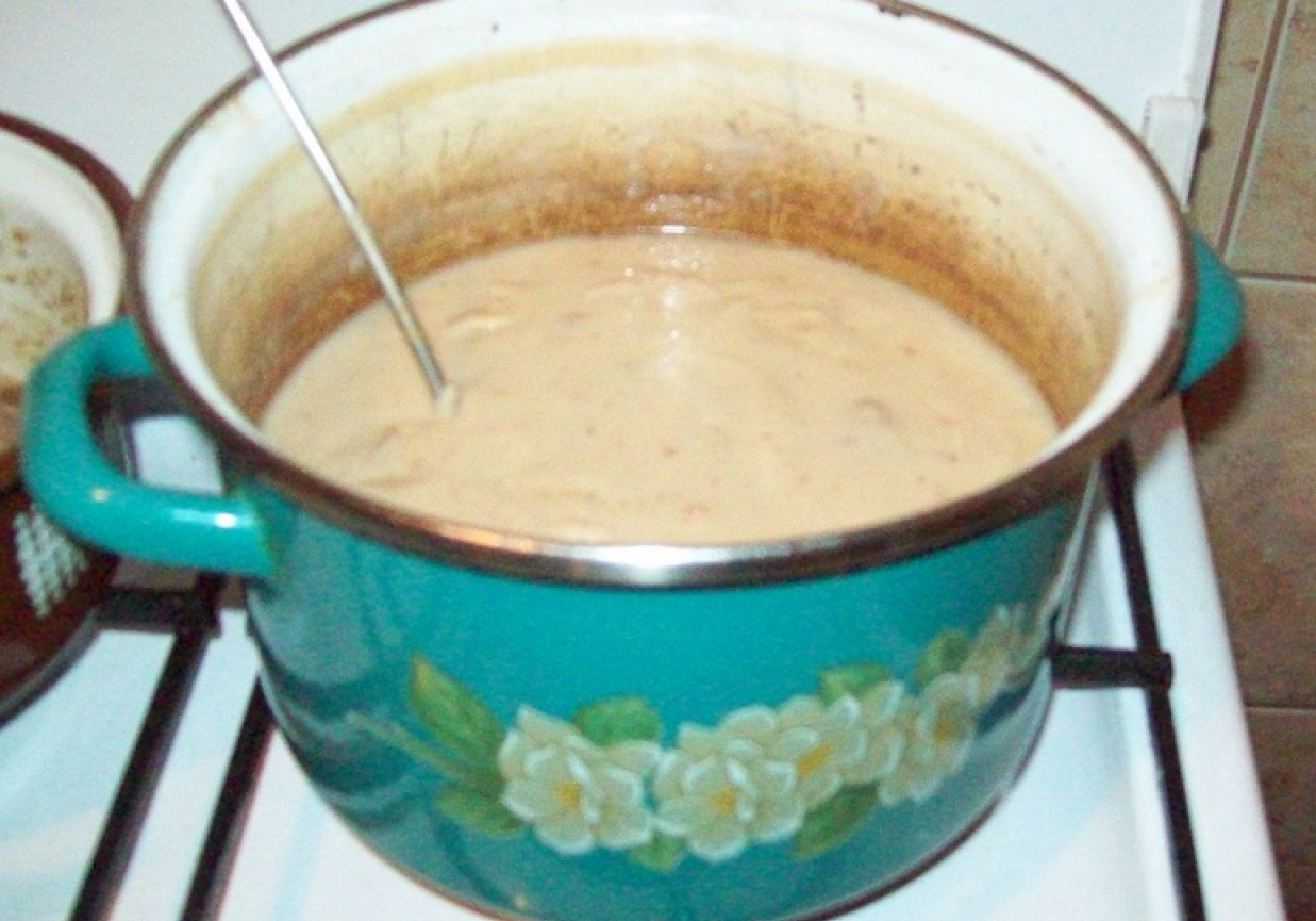 Gęsta zupa fasolowa foto