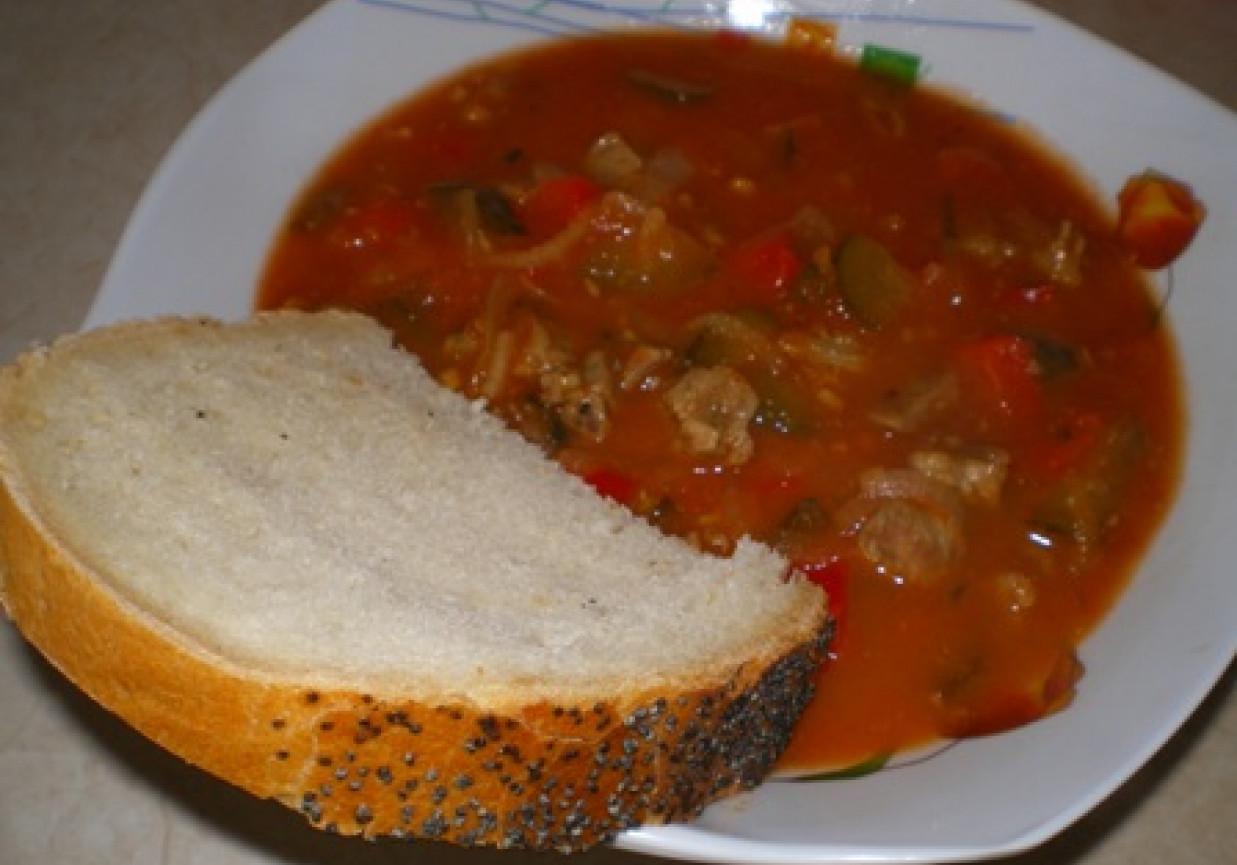 Gęsta zupa gulaszowa foto