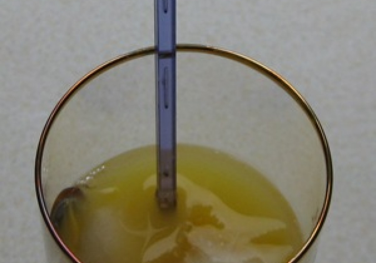 Gin z malibu i sokiem pomarańczowym foto